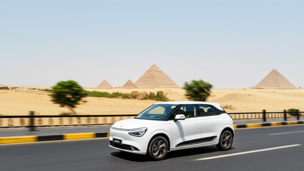 डोङफेङ मोटरद्वारा इजिप्टमा नौ वटा नयाँ मोडल सार्वजनिक