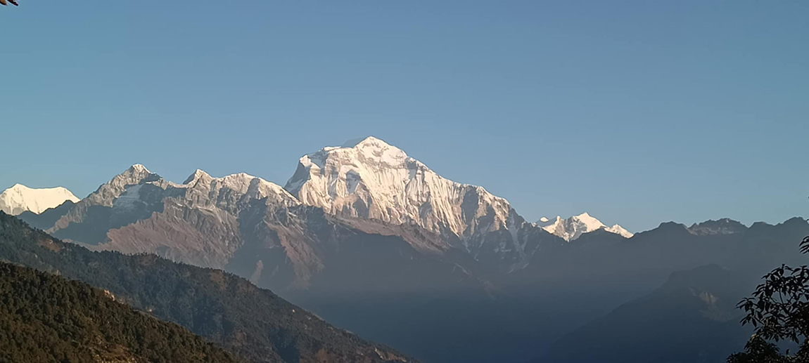 आजका तस्बिर- कात्तिक १०