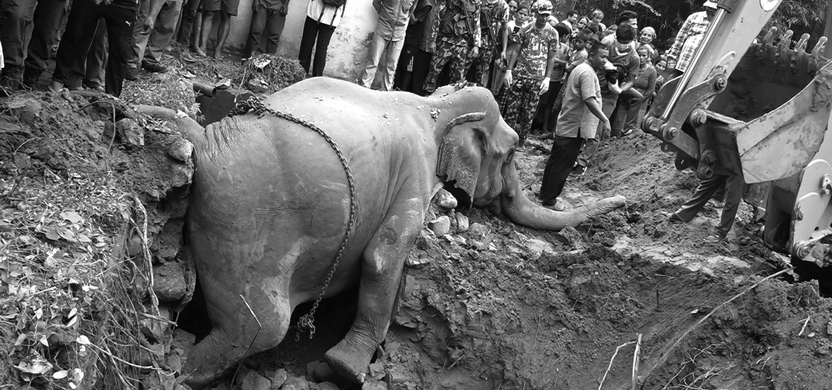 तस्बिर: सेतोपाटी