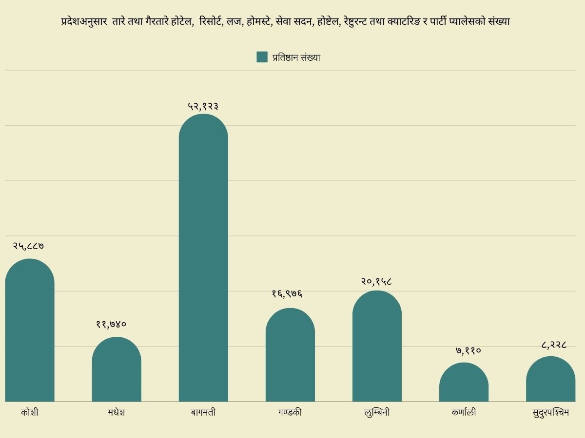 hotel-chart-1735733293.jpg