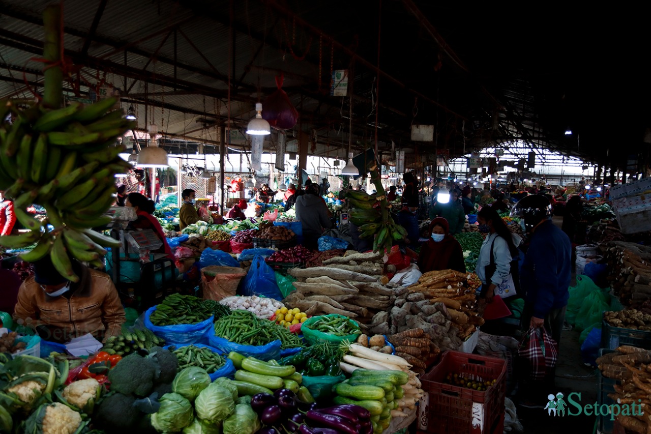 फाइल तस्बिर।