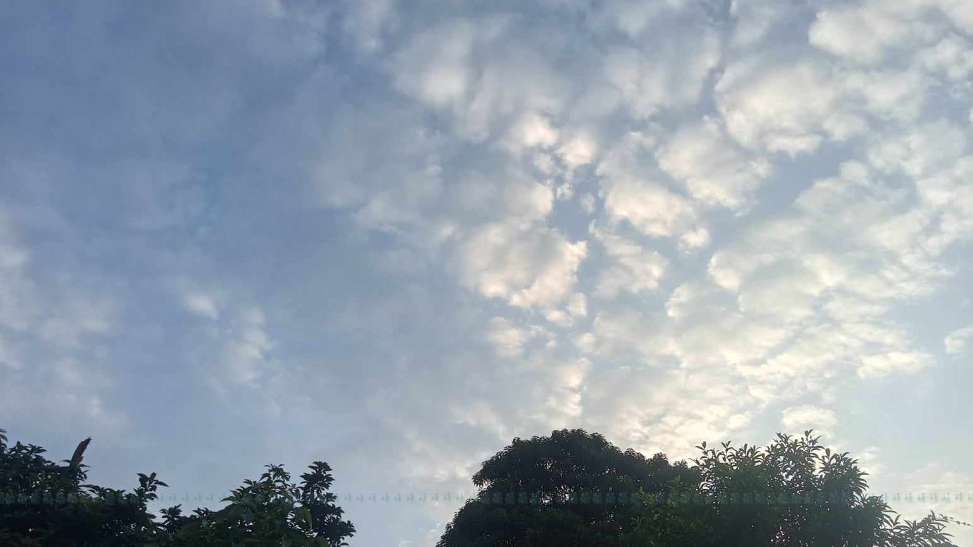 फाइल तस्बिर।