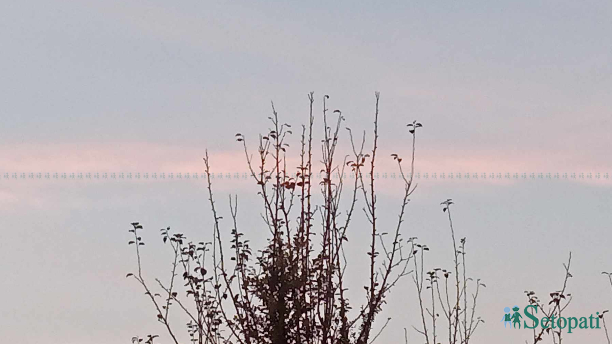 फाइल तस्बिर।