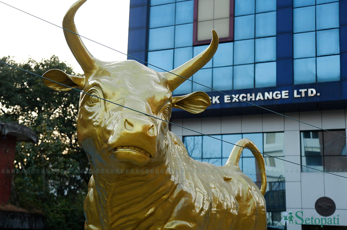 nepse-bull2-1729612557.jpg