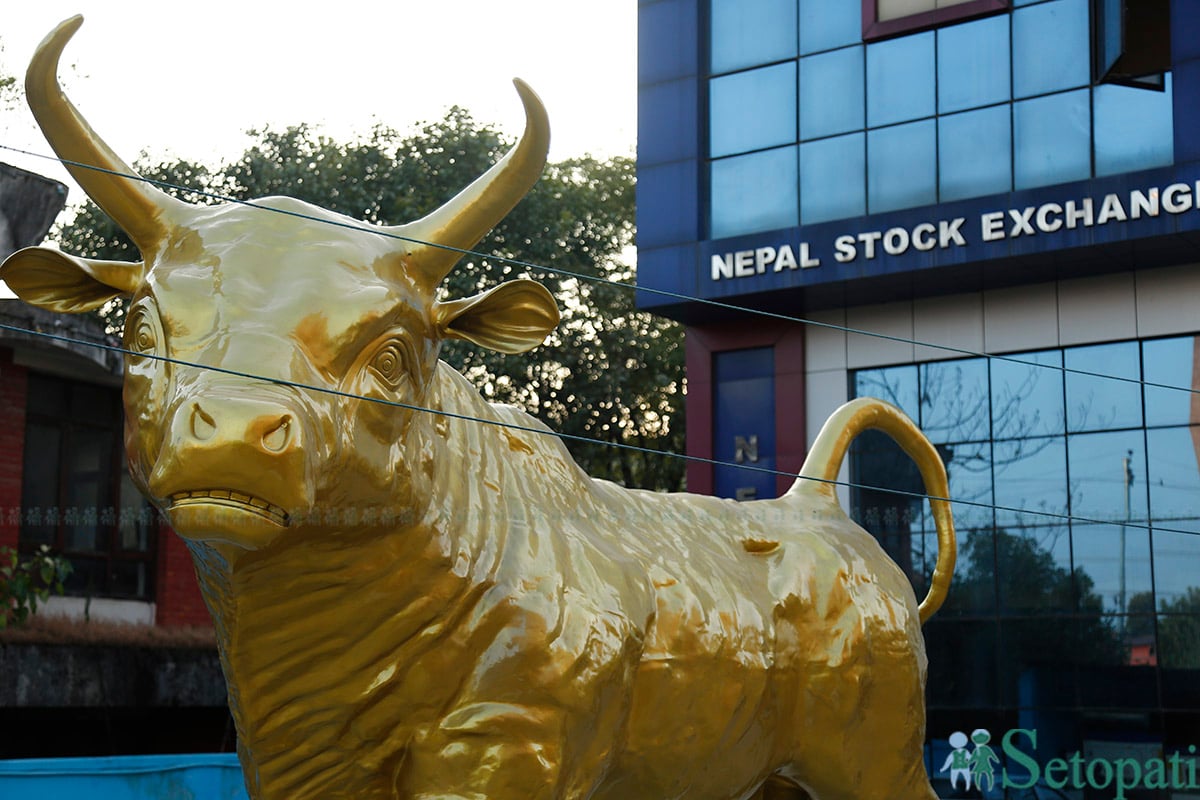 nepse-bull7-1729612559.jpg