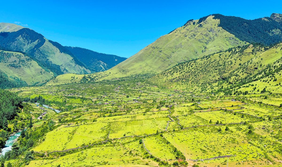 आजका तस्बिर- भदौ १७