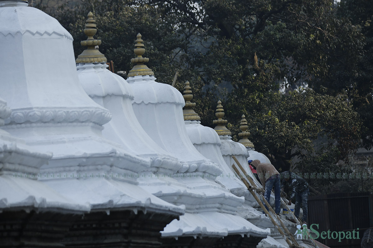 pashupati--(5)-1739338472.jpg