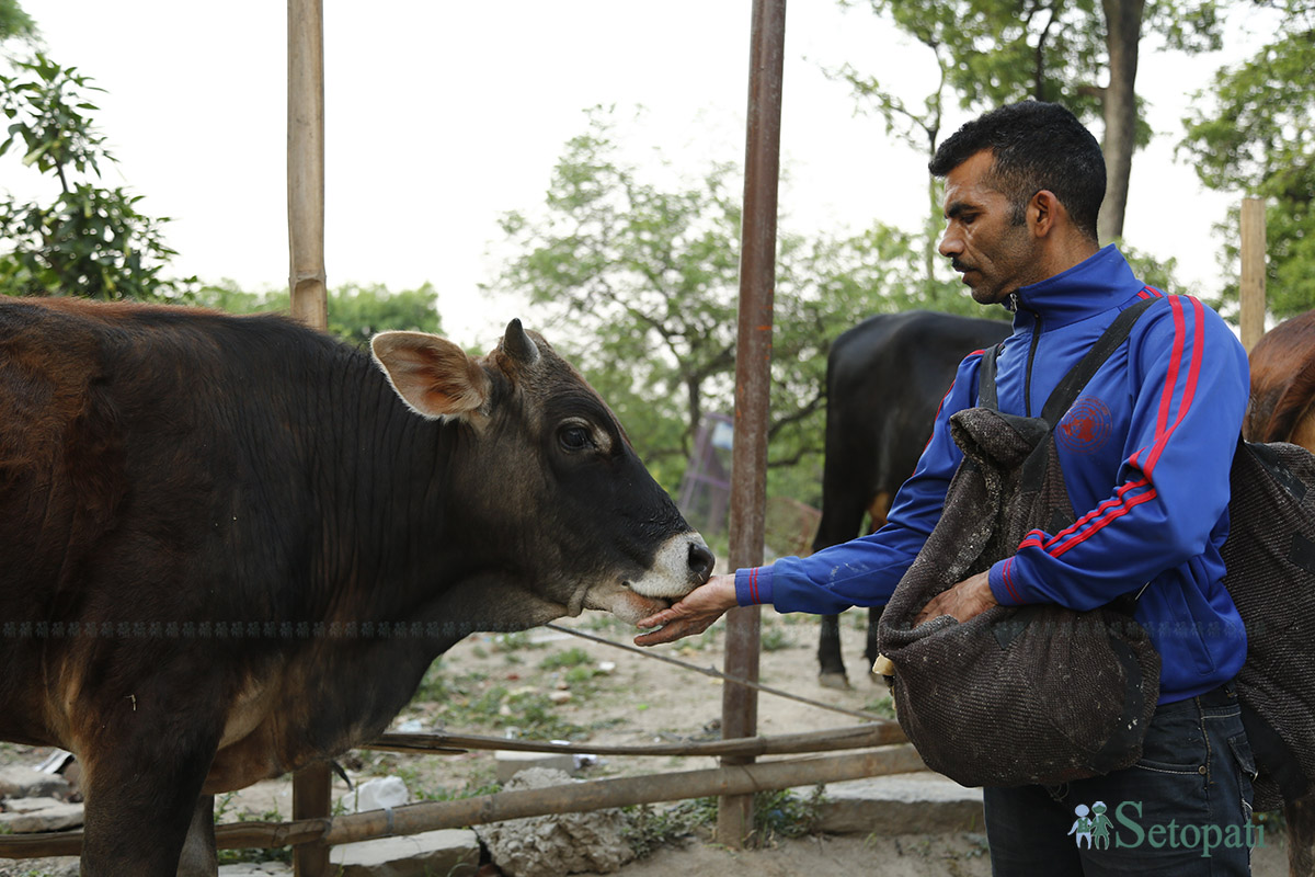 pashupati-nath--(27)-1714450921.jpg