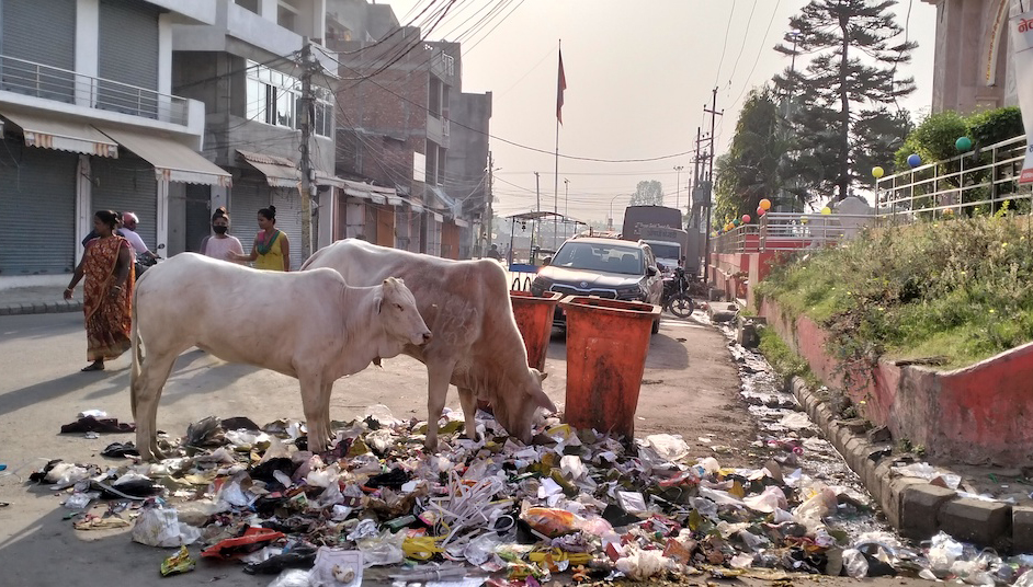 phohor-janakpur-1694148235.jpg