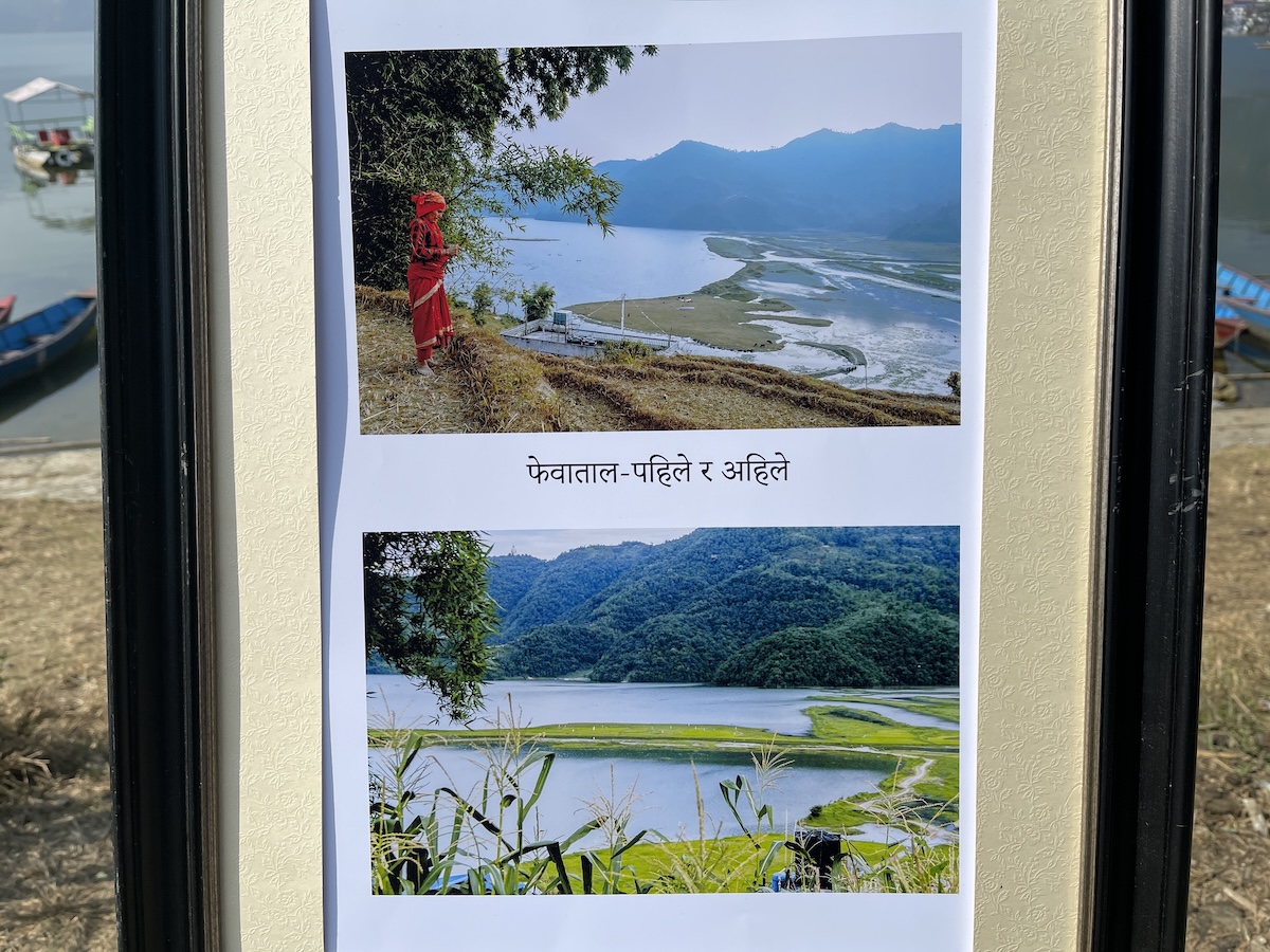 pokhara-krishnamani4-1738514474.jpeg