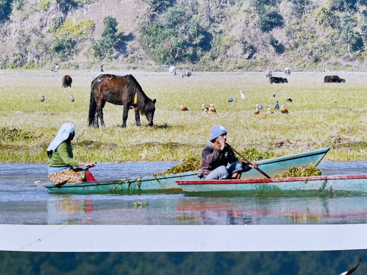 pokhara-krishnamani7-1738515115.jpeg