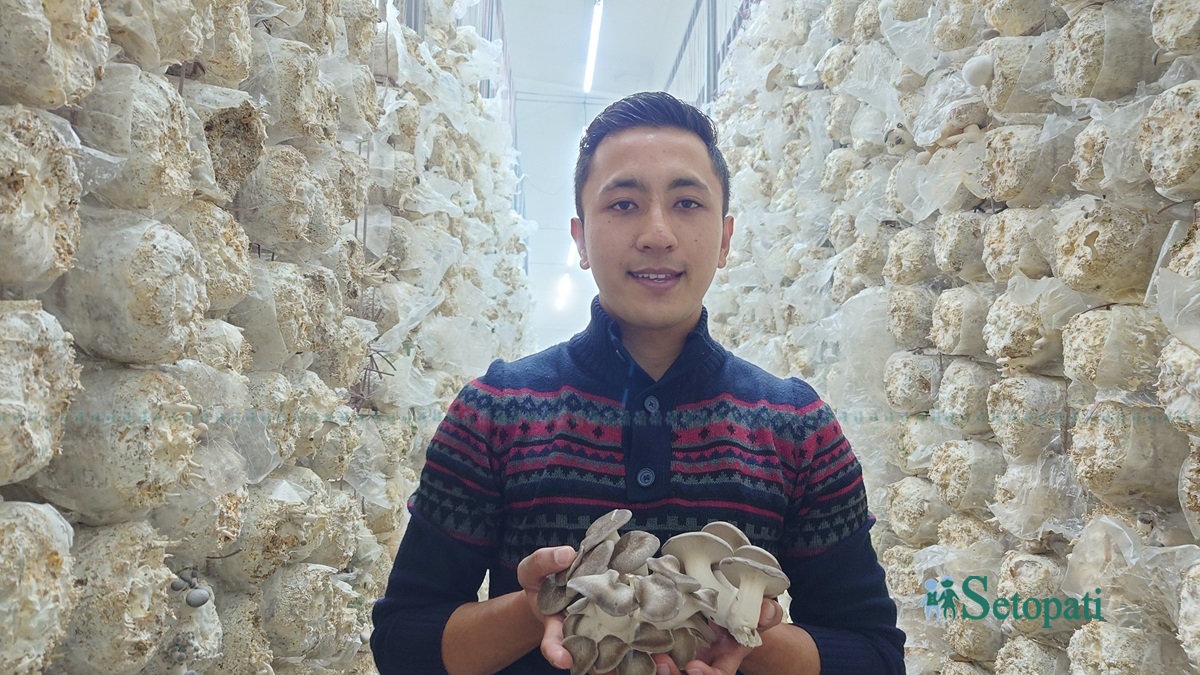 सार्थक साखः। तस्बिरः सुनिता सिटौला/सेतोपाटी