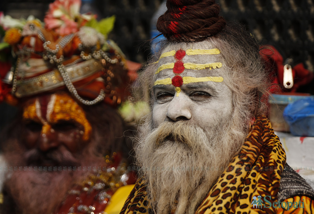 shivratri--(3)-1740491319.jpg