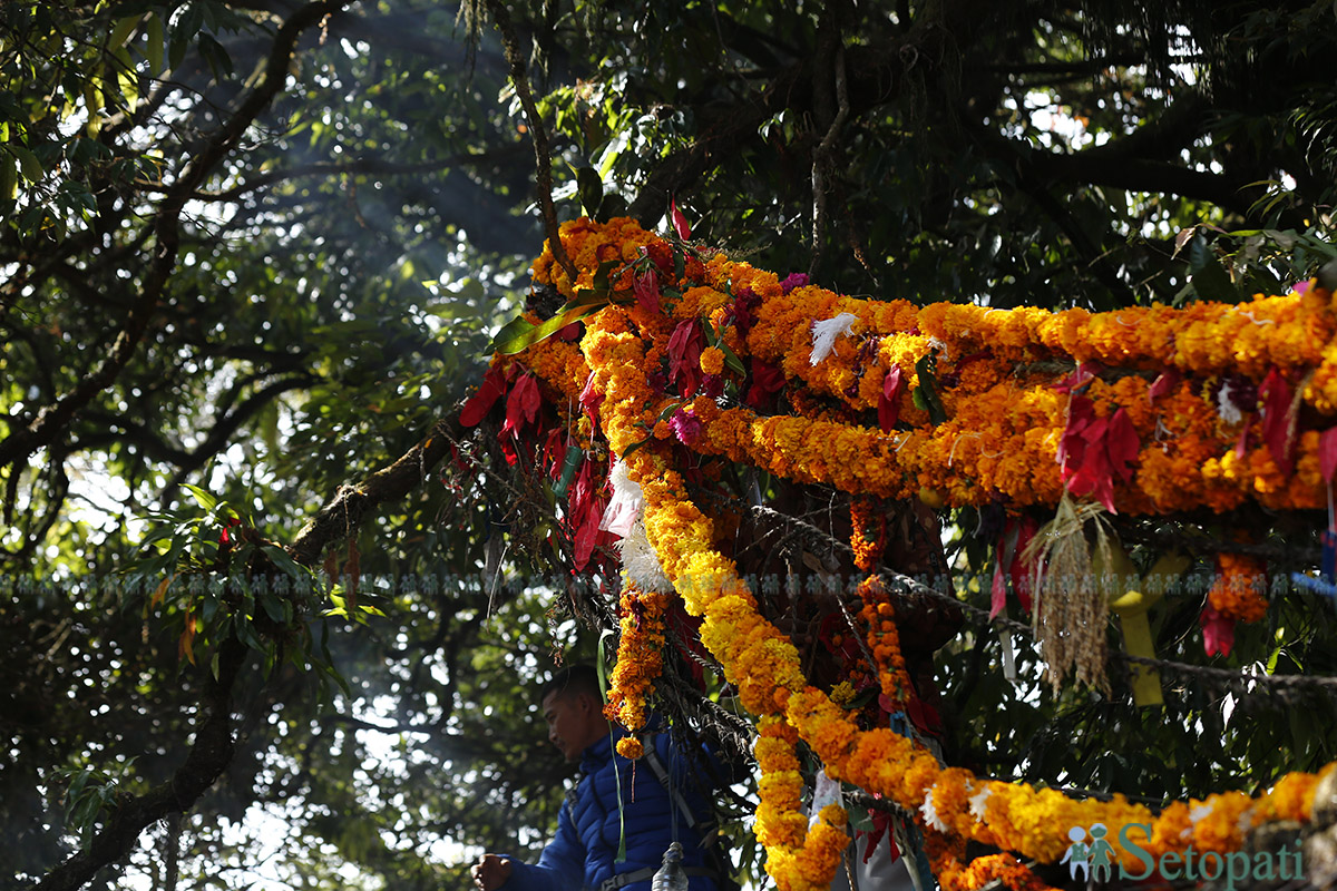 shrinathkot-jatra--(3)-1732160106.jpg