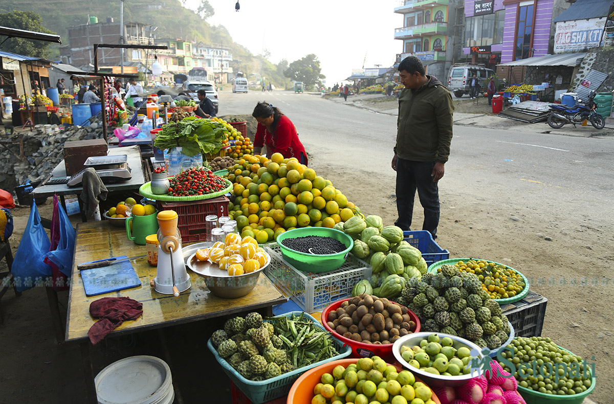 sindhuliko-junar-(16)-1731299030.jpg