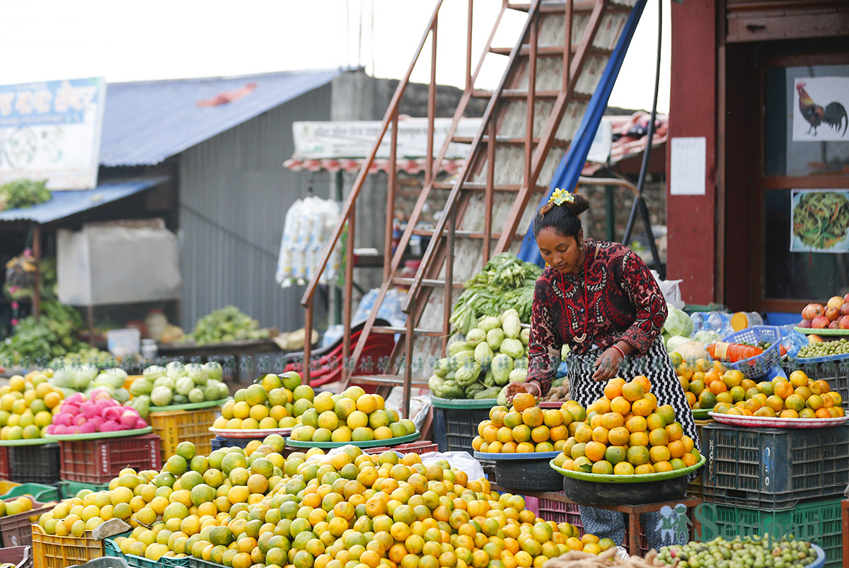 sindhuliko-junar-(3)-1731299026.jpg