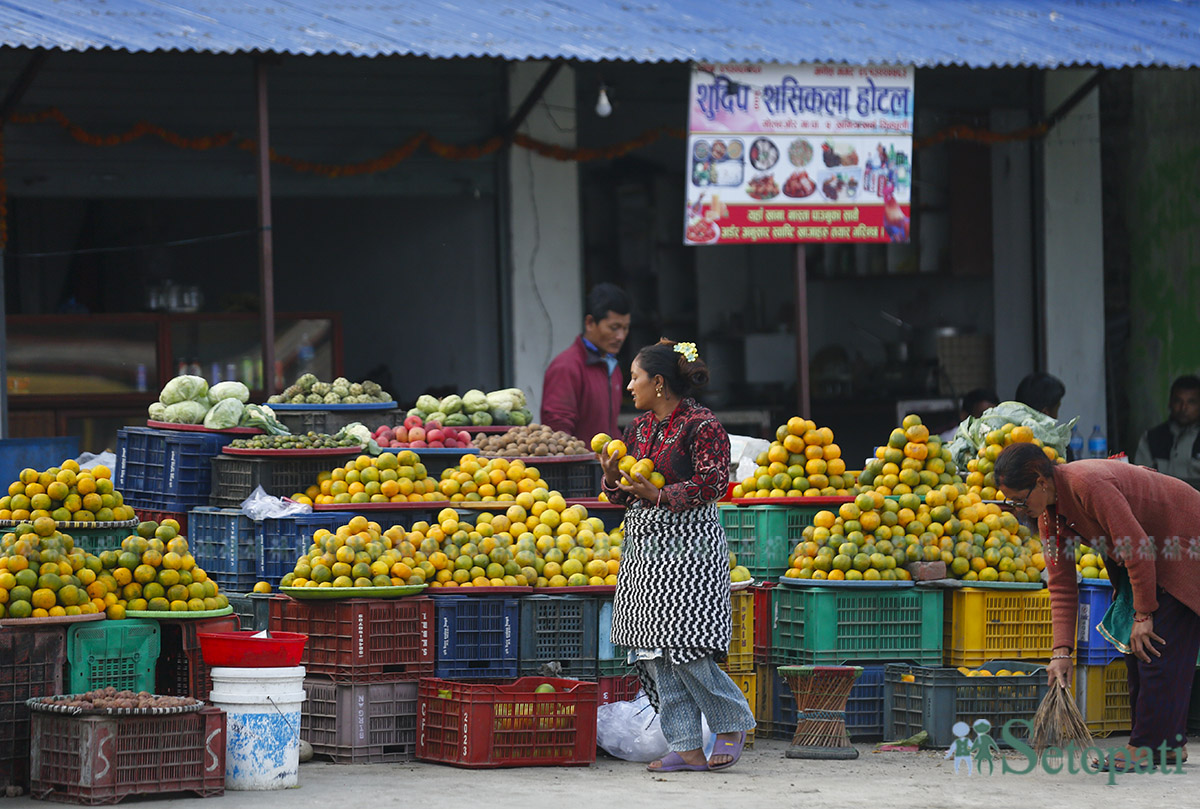 sindhuliko-junar-(7)-1731299027.jpg