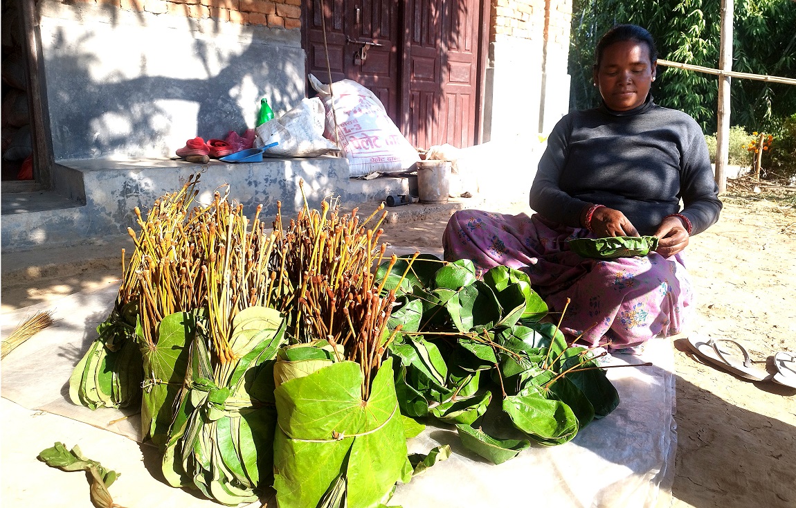 आजका तस्बिर- मंसिर २७