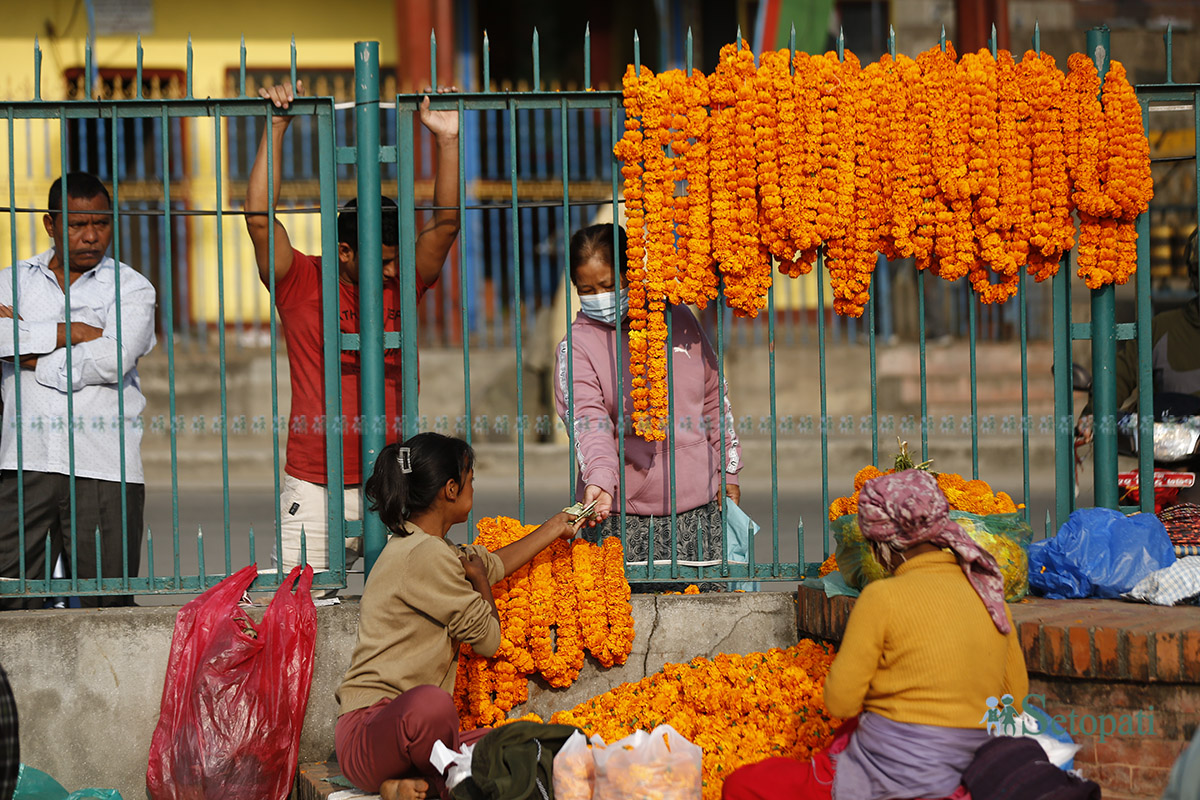 tihar-ful-mala--(17)-1730516496.jpg