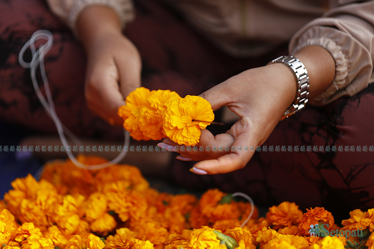 tihar-ful-mala--(3)-1730516490.jpg