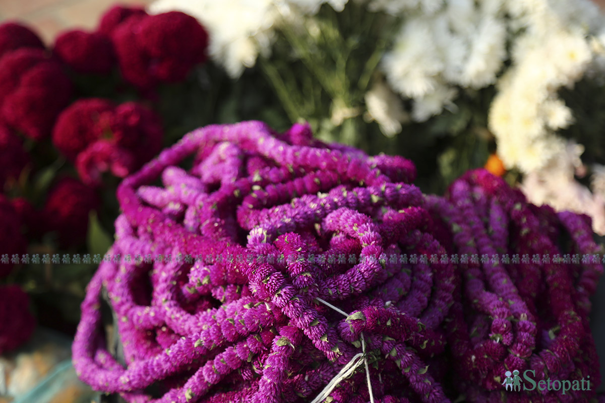 tihar-ful-mala--(5)-1730516491.jpg