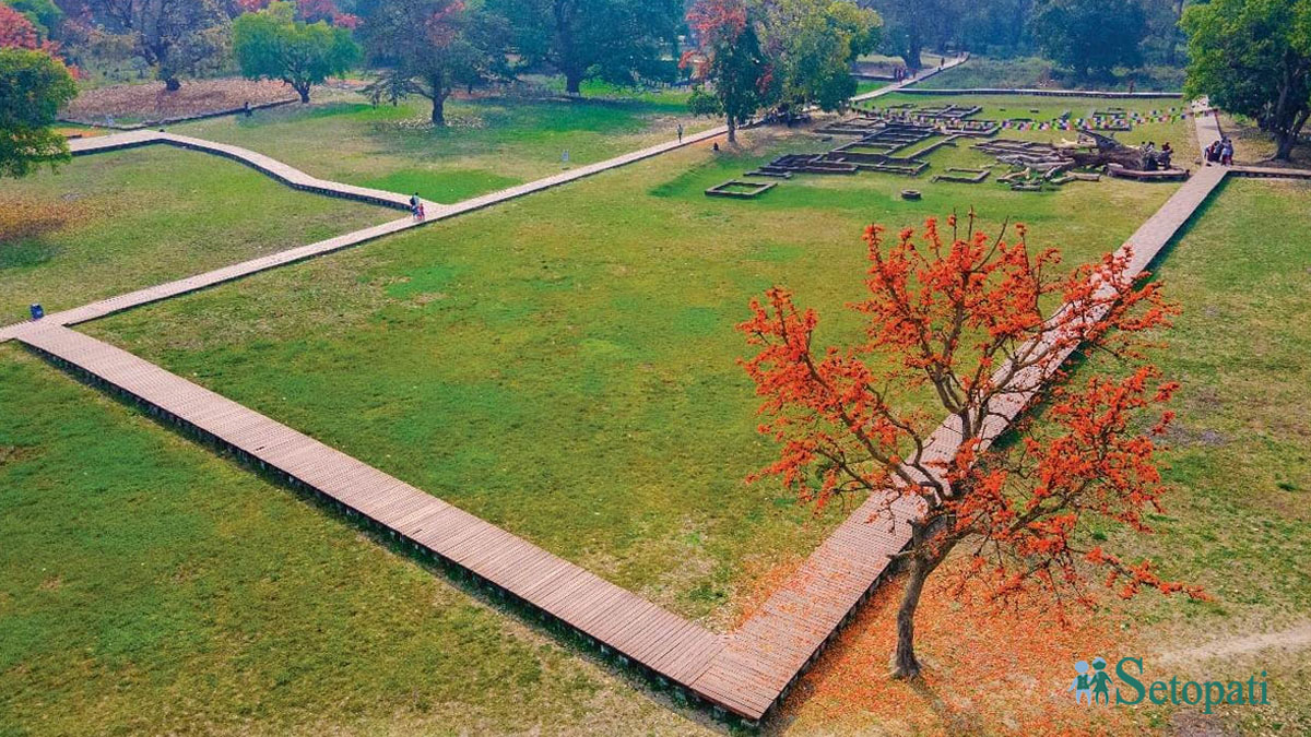 फाइल तस्बिर।