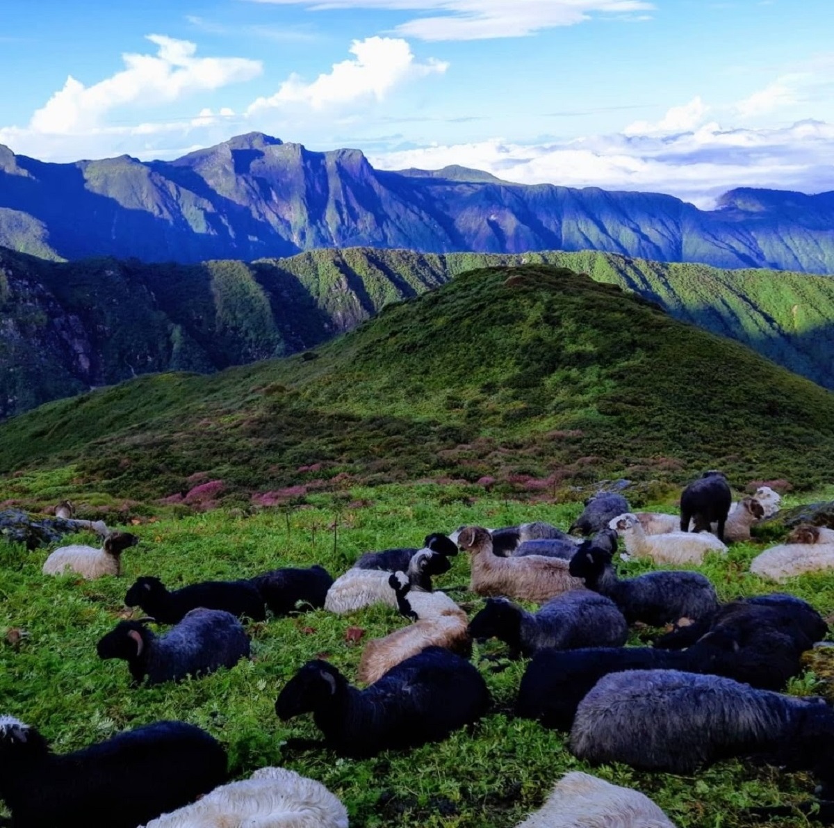 timbung-pokhari-(2)-1700063885.jpg