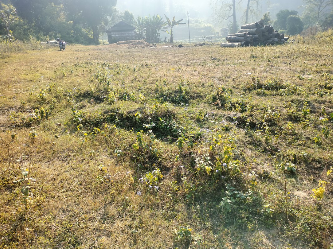 udayapur-(3)-1740035619.jpg