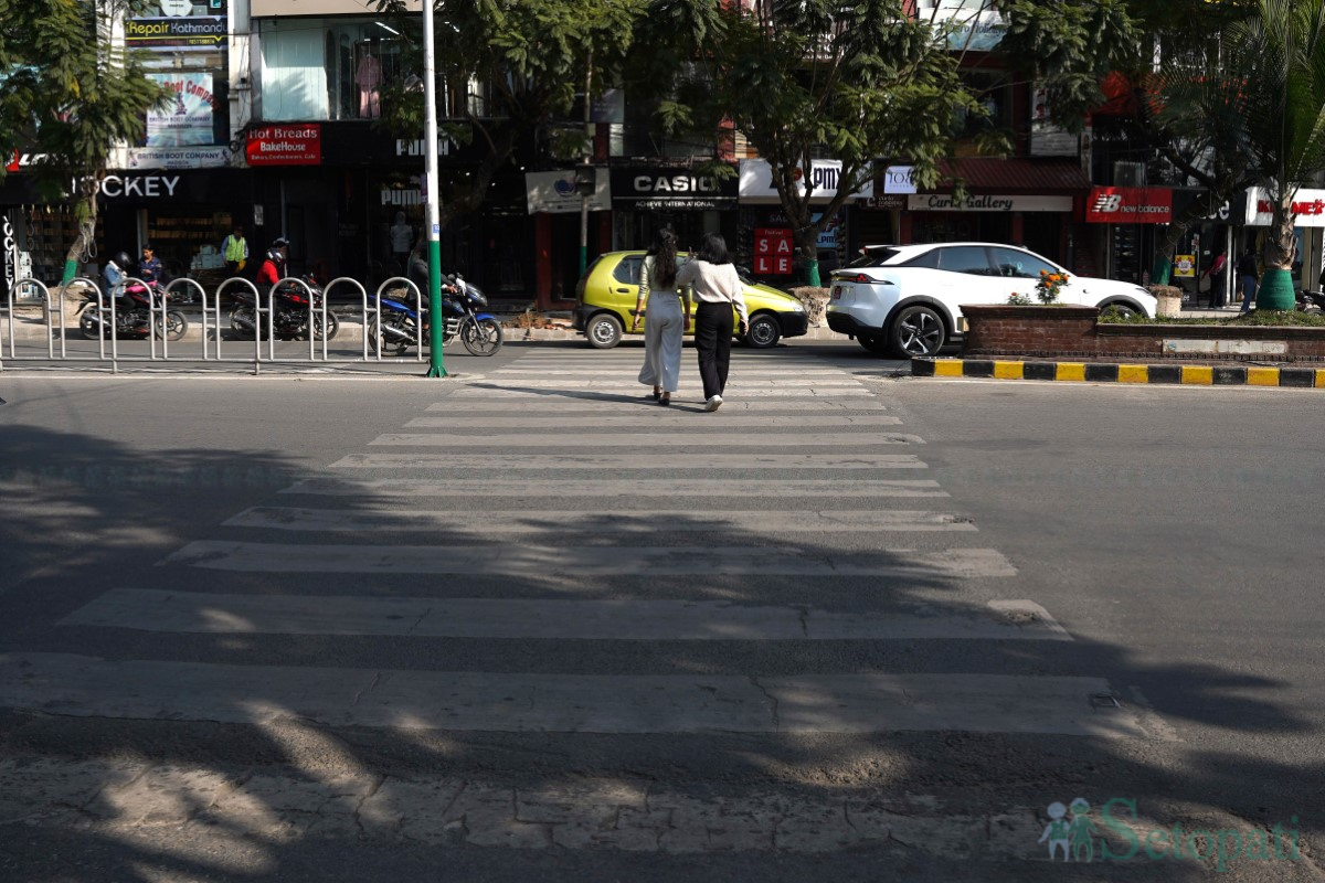 zebra-crossing-(10)-1731498068.jpg