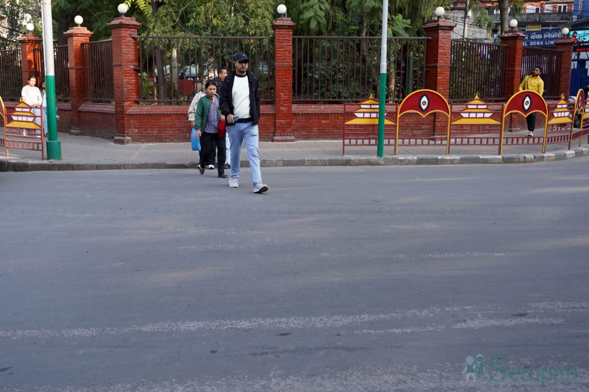 zebra-crossing-(13)-1731498069.jpg