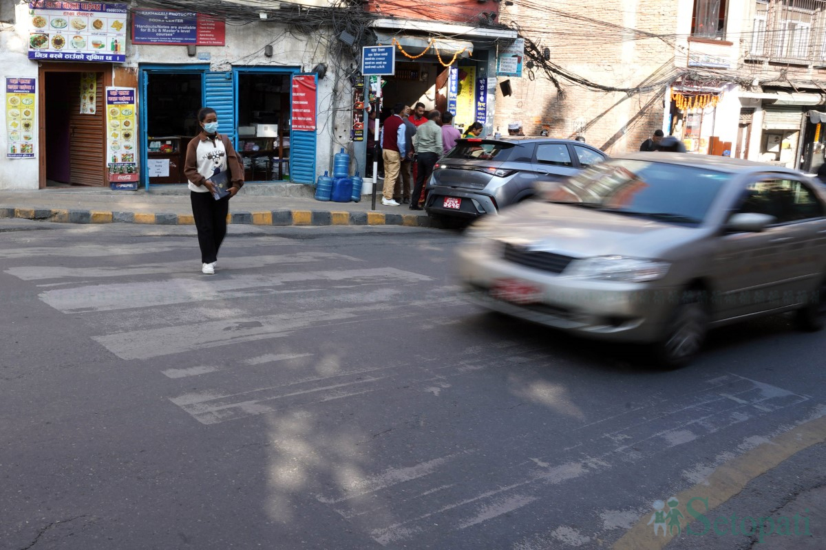 zebra-crossing-(2)-1731498065.jpg