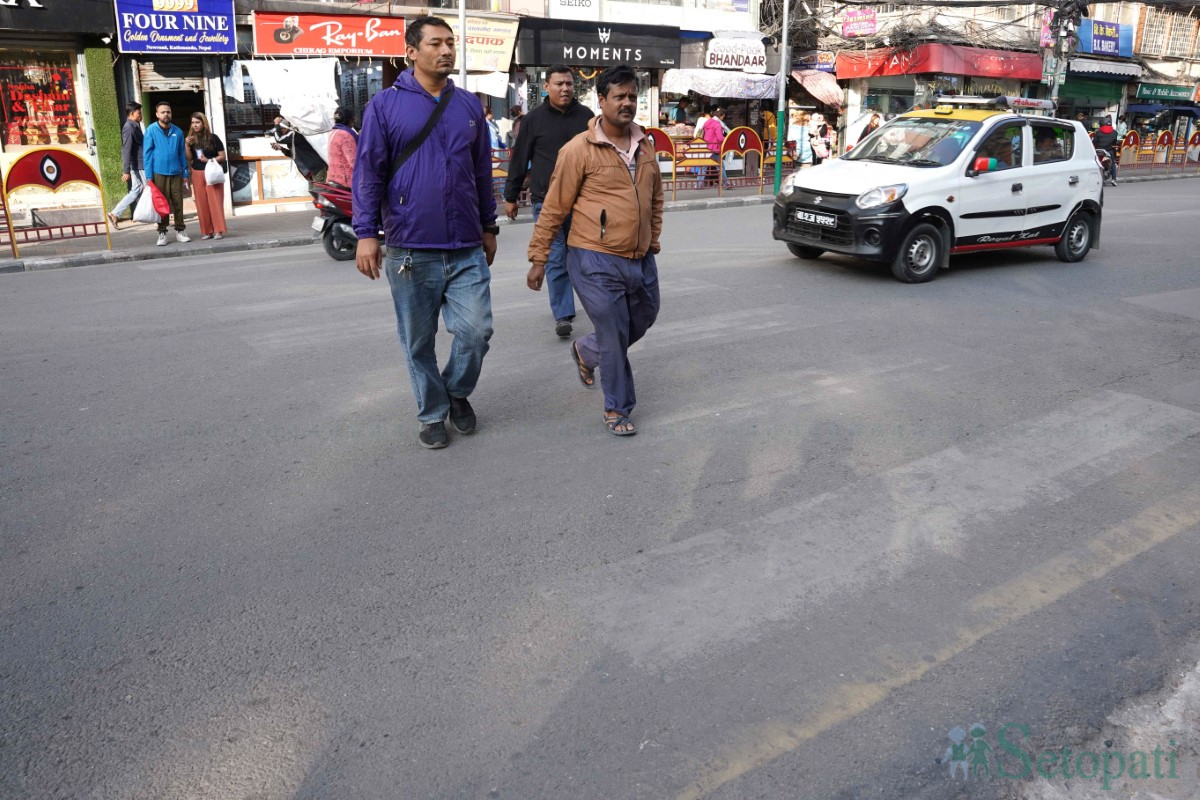 zebra-crossing-(4)-1731498066.jpg