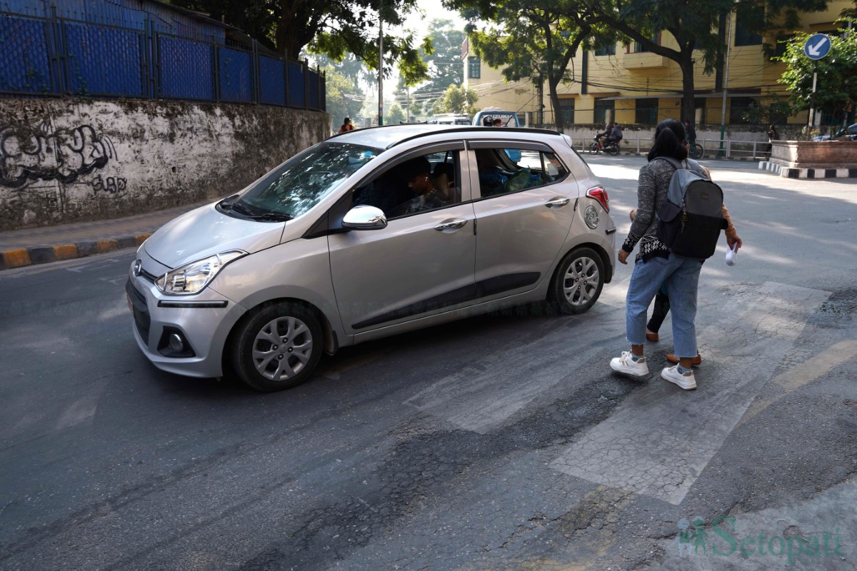 zebra-crossing-(6)-1731498067.jpg