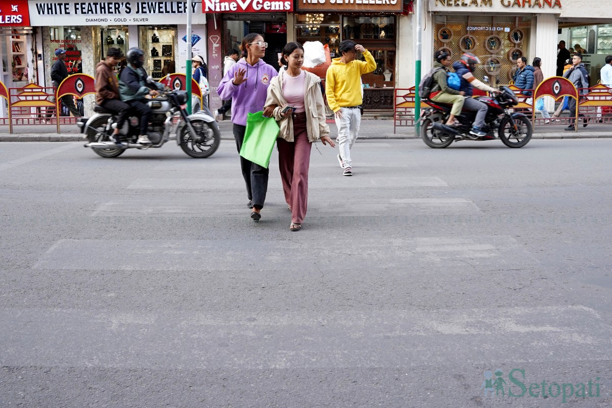 zebra-crossing-(7)-1731498067.jpg