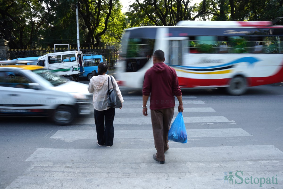 zebra-crossing-(8)-1731498067.jpg