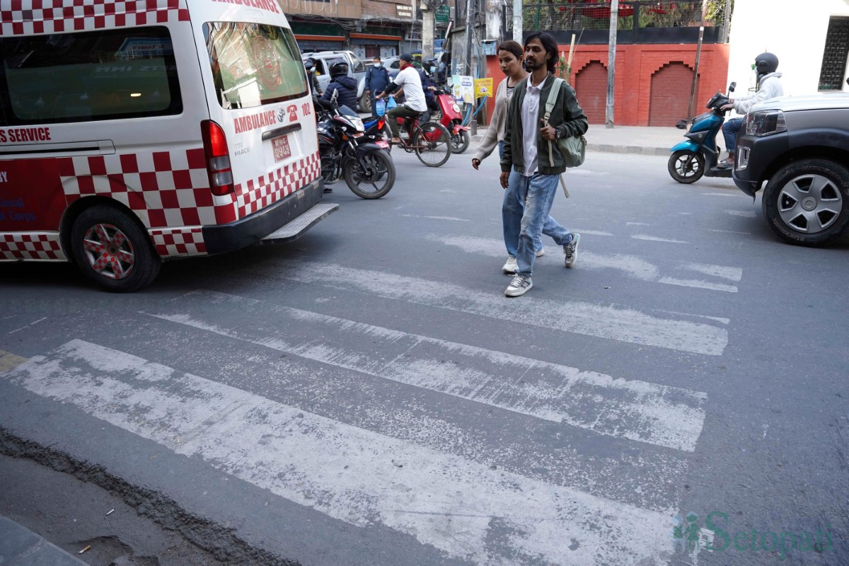 zebra-crossing-(9)-1731498068.jpg